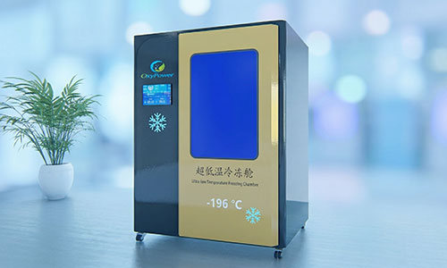 Whole body cryotherapy chambe